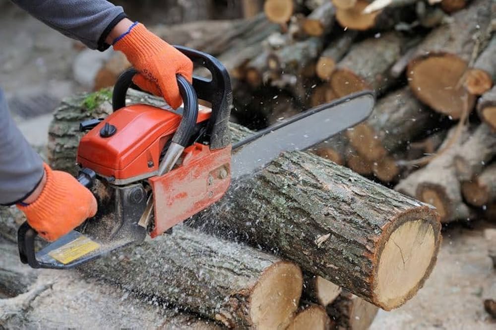 CHAIN SAWS
