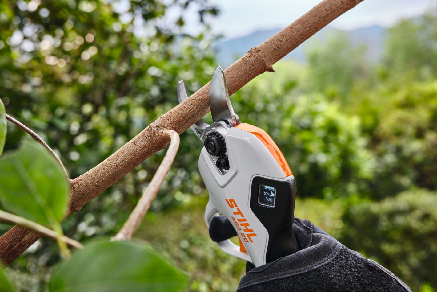 ASA 20 Cordless lopping shears