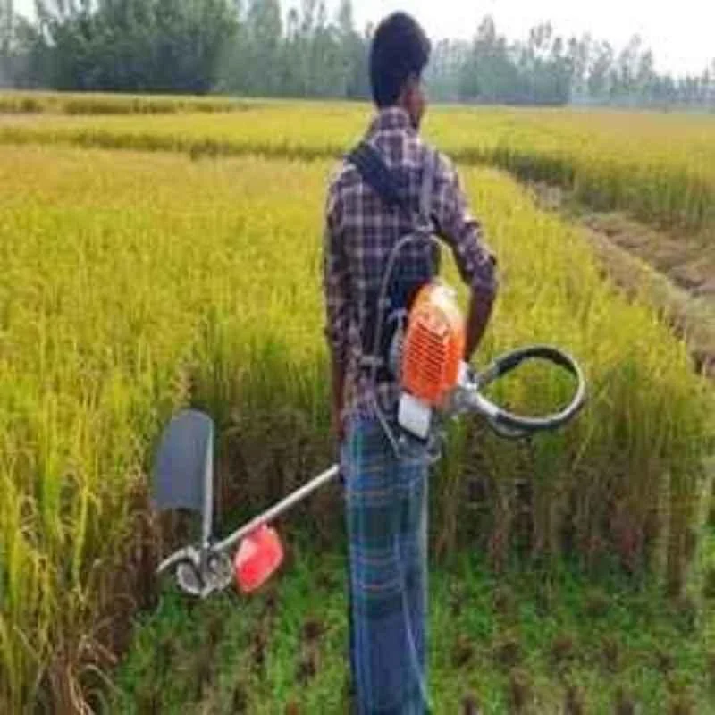 Greenleaf 2HP 35cc 4 Stroke Petrol Engine Backpack Brush Cutter with Weeder/Tiller Chainsaw Paddy Guard and Blade Attachments,